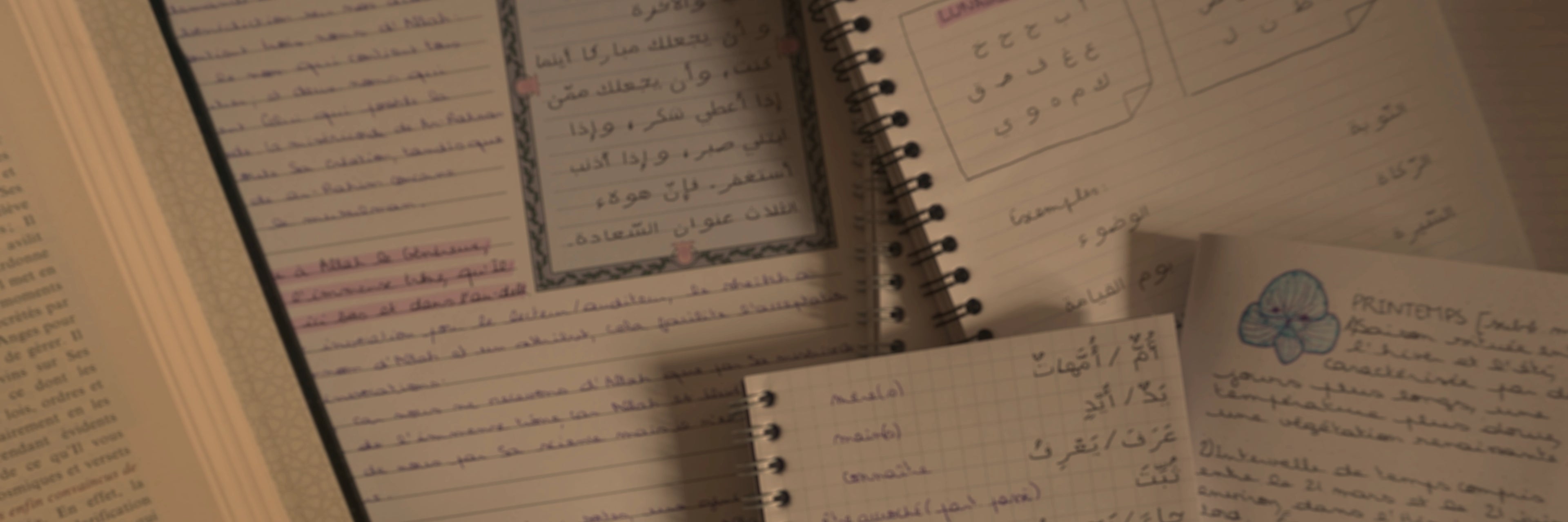 Photographie légèrement floue de plusieurs carnets, bloc-notes, et un livre, empilés les uns sur les autres. On peut y voir des pages manuscrites et des illustrations.