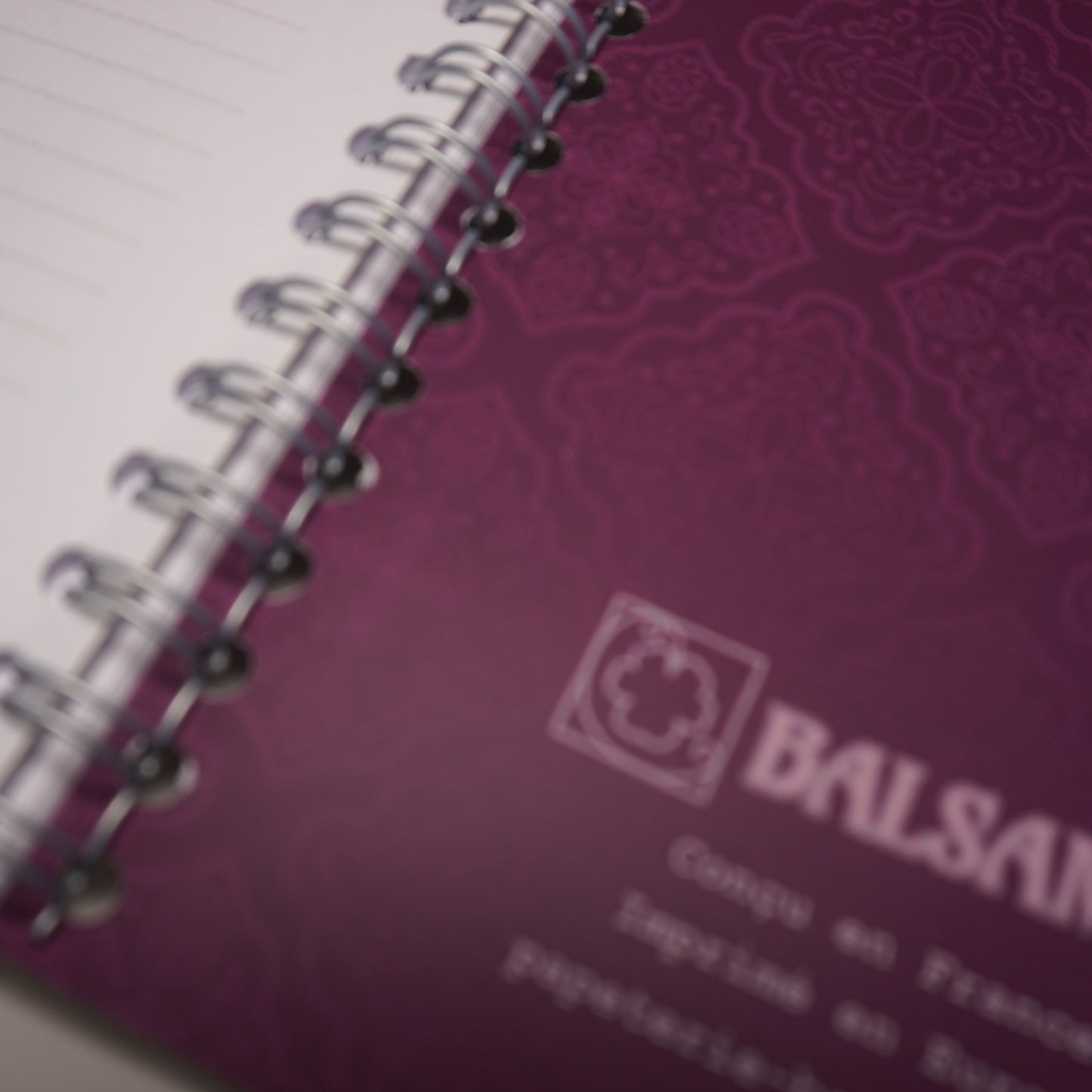 Carnet A6 prune